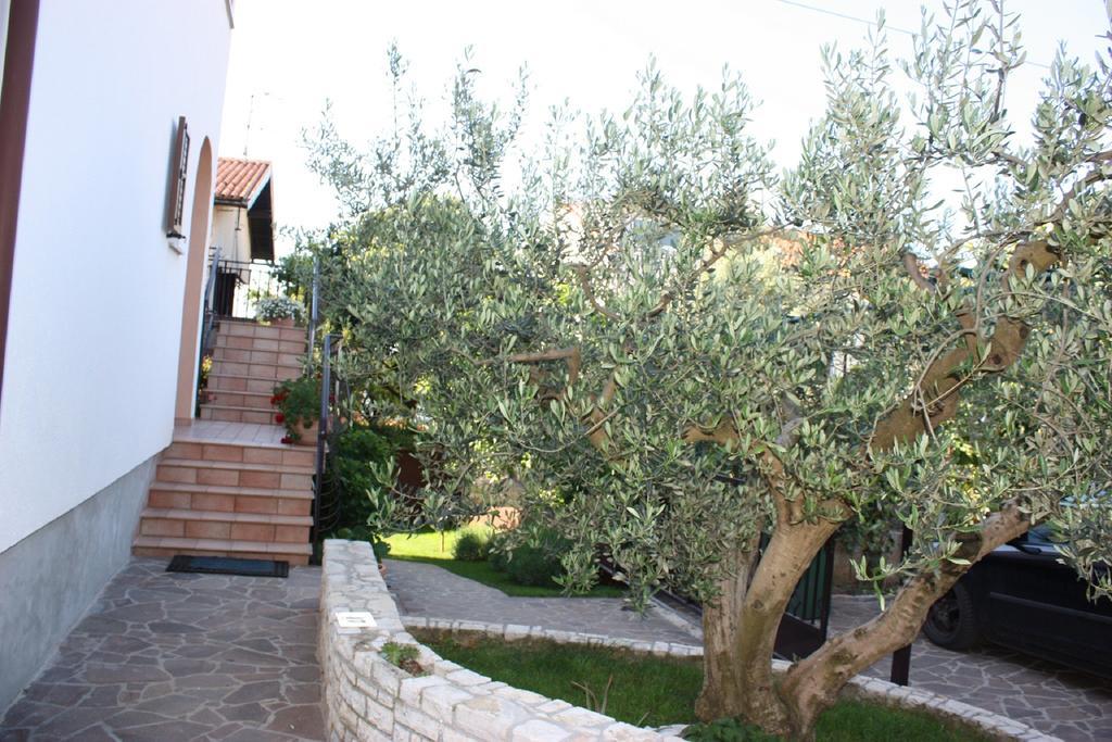 Apartments Mirela Novigrad  Exterior photo