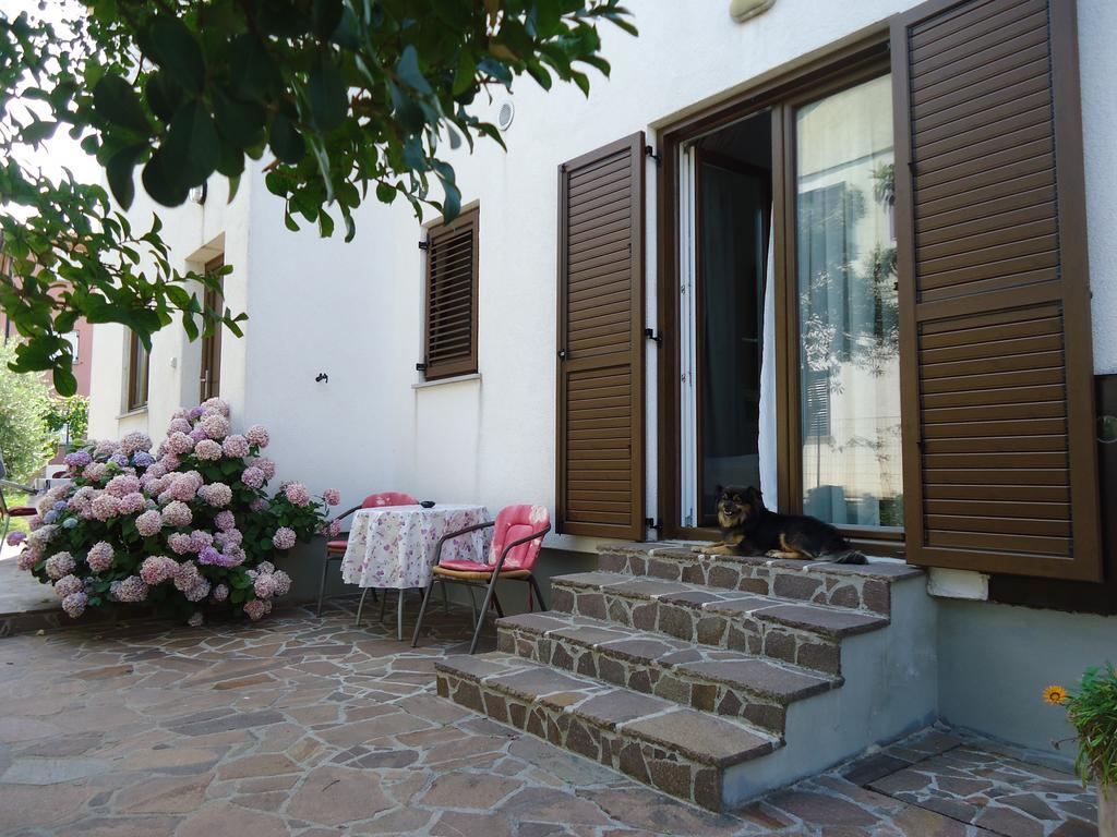 Apartments Mirela Novigrad  Exterior photo